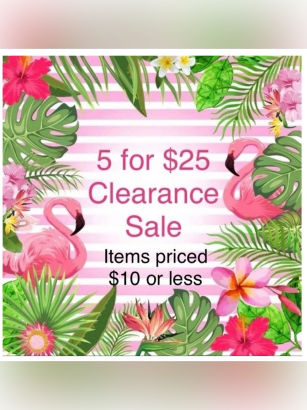 5 for $25 Clearance Sale!!